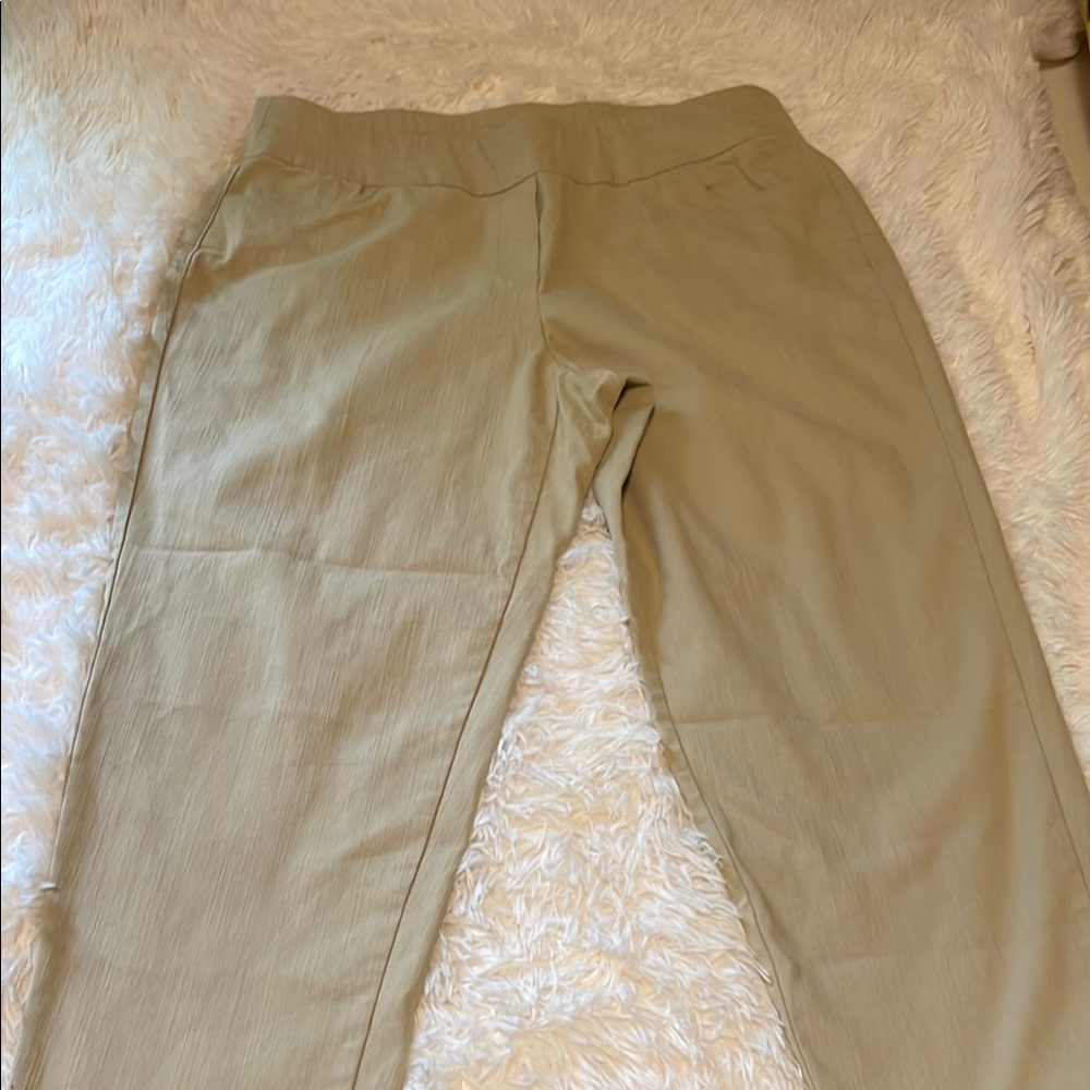 Alfred Dunner Light Tan Trousers